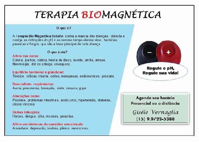 Foto 3 - Terapia - Biomagnetismo